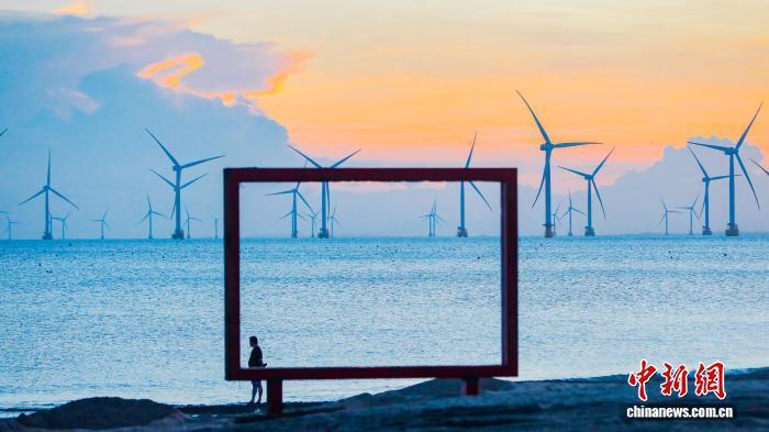 南日岛海钓, 据悉, 鲷类