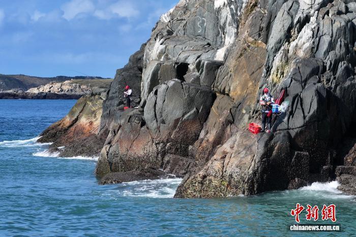 邀请赛暨海, 竞赛项目涵